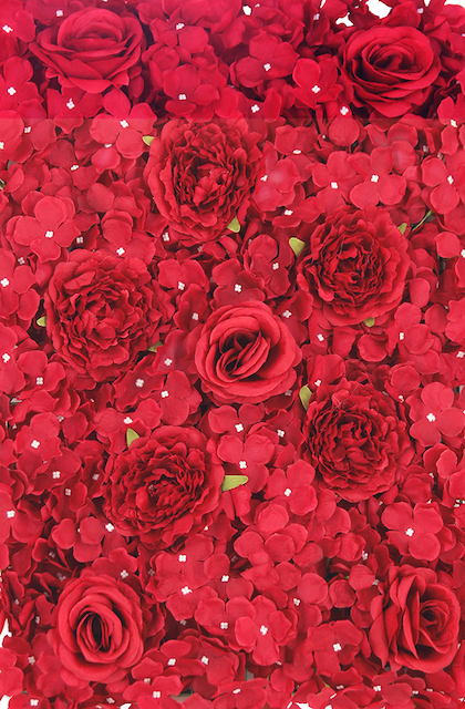 SJH Entertainment Flower Walls